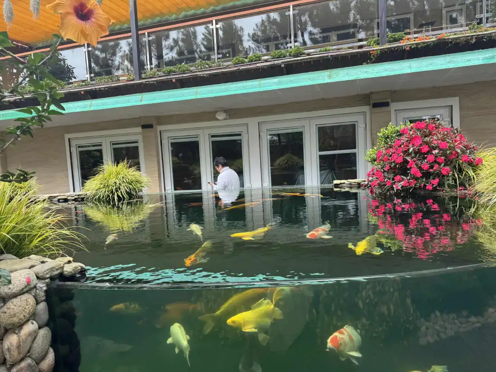 Read more about the article VỀ VIỆC ĐĂNG KÍ MUA SÁCH